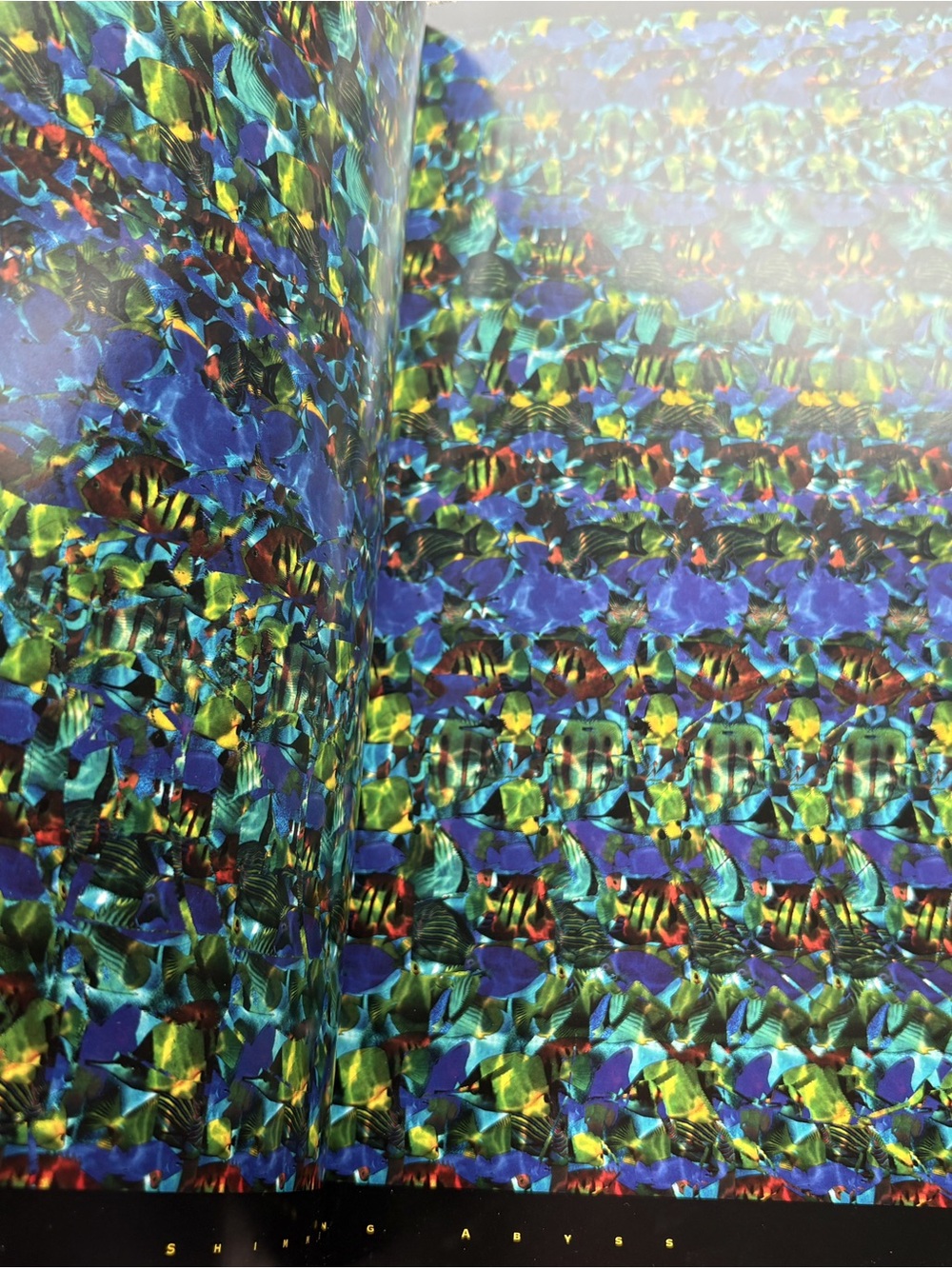 Vintage 1994 Holusion Art Hardcover Book - Michael Bielinski - 90s Nostalgia - Picture 5 of 13